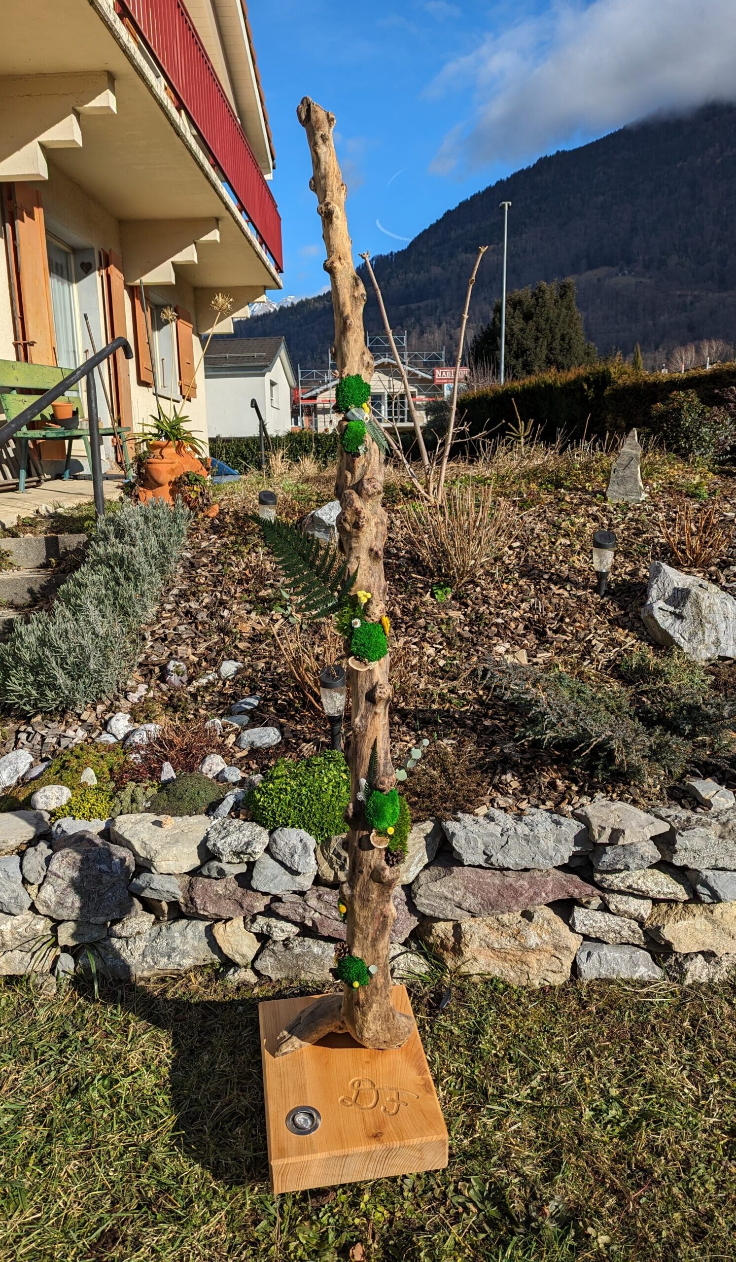 PXL_20240125_124211507 (1)